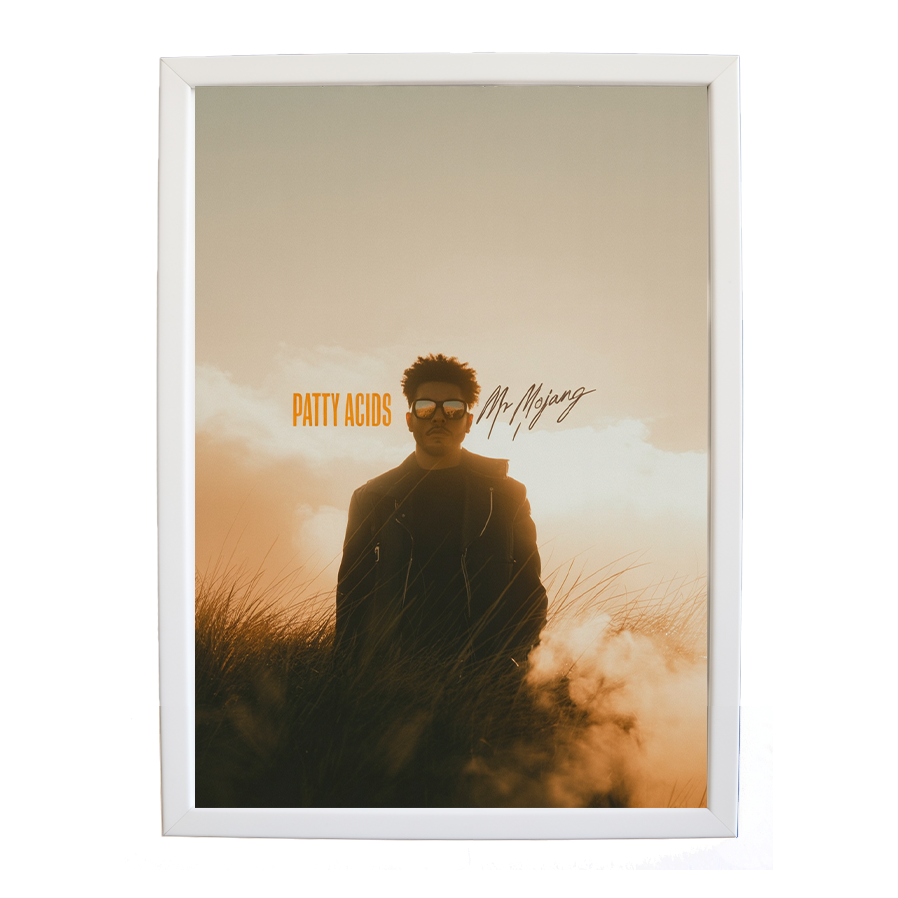 Mr Mojang – Modern Music Poster – wall art print – Patty Acids – Dark Pop / R&B. electronic, ambient pop, cinematic
inspired by The Weeknd – Music Stag