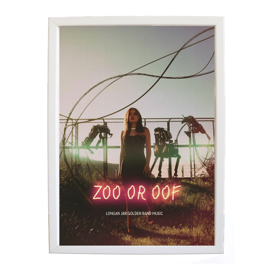 Longan Jar Golden Band Music – Music Photography Poster – wall art print – Zoo or Oof – pulsing EDM, electronic, dance – Music Stag